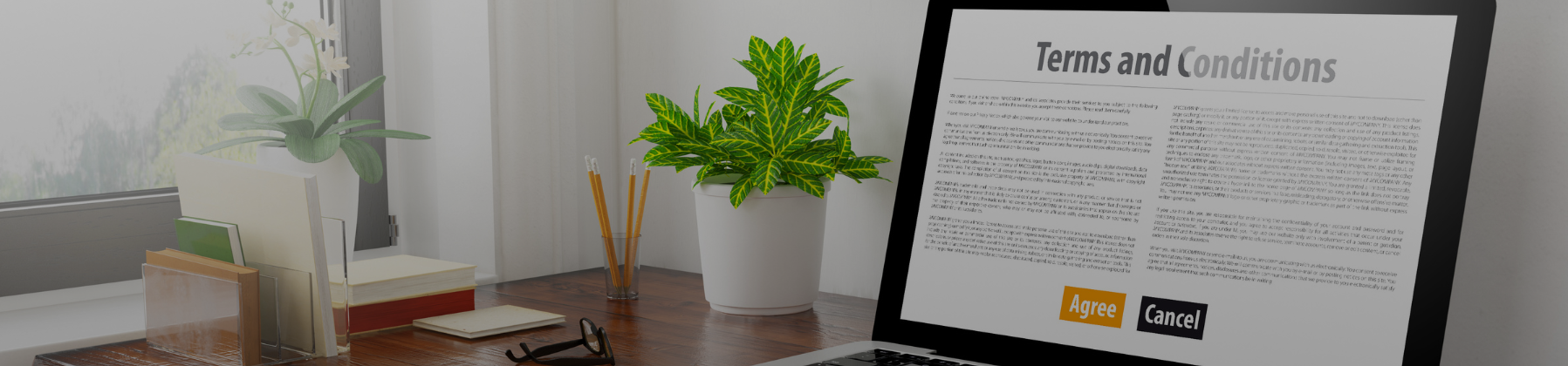 Do You Really Need Disclaimers And Website Terms And Conditions?