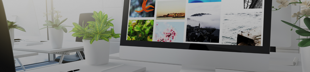 How to start a stock photography business | Foundd Legal