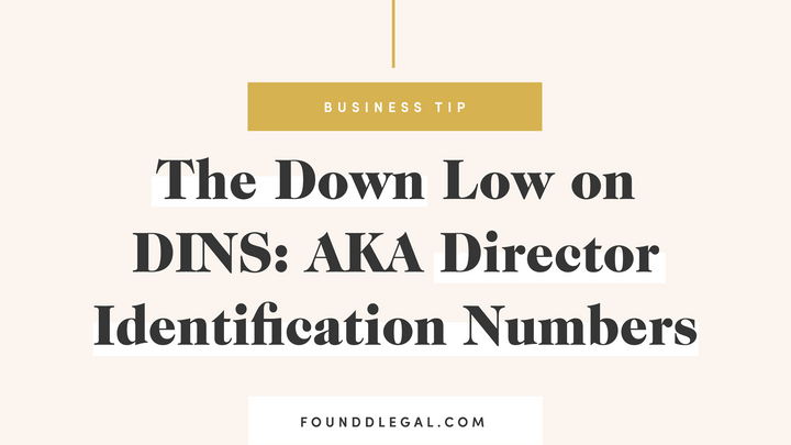The Down Low on DINS: AKA Director Identification Numbers