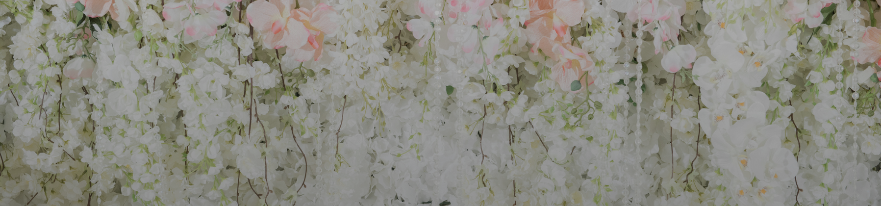 Photographers: How to Start a Wedding Photography Business
